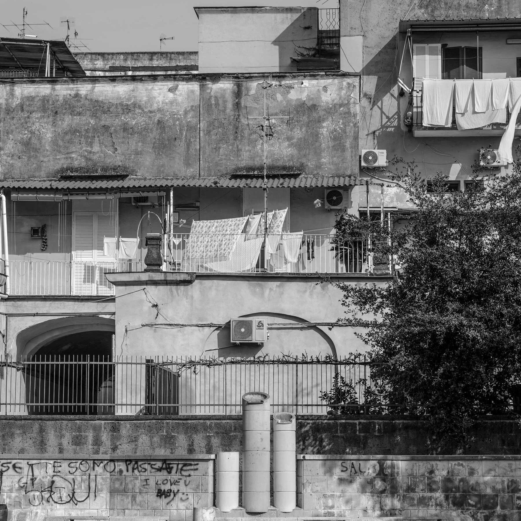 1_QDV22_Ponti_Barra_12_16_Ph_SalvatorePastore_S2A6031