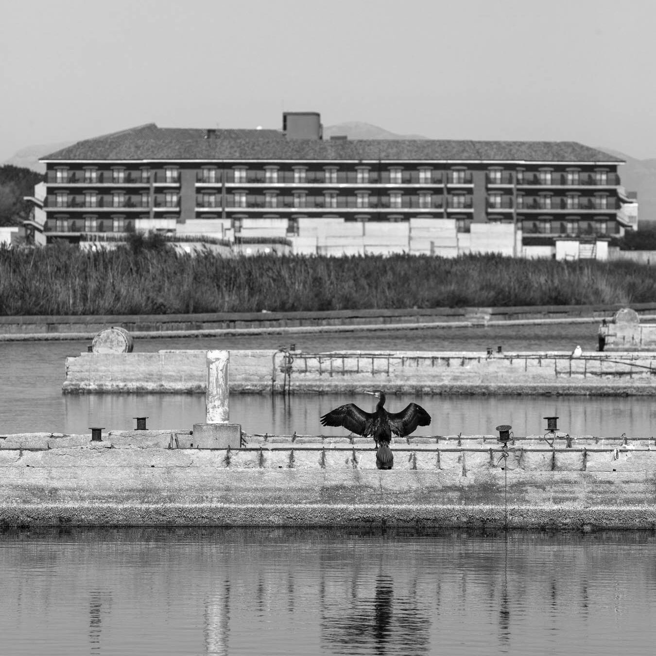 _QDV22_C_Volturno_16_42_Ph_SalvatorePastore