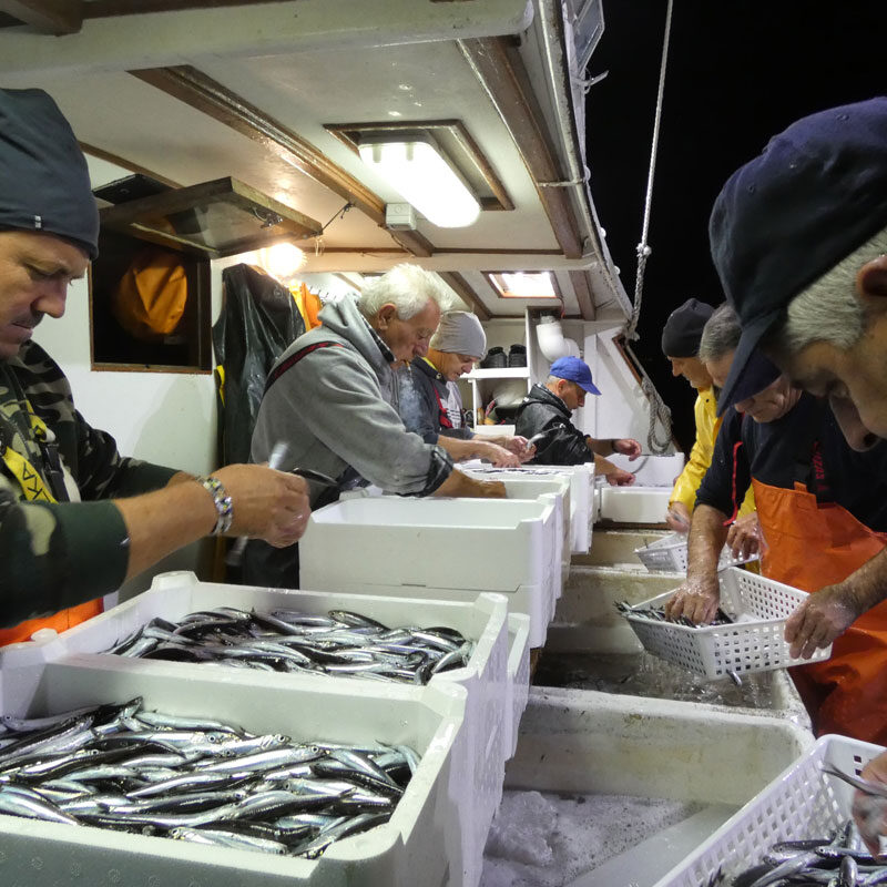 Coop.Ar.Tu.Ro.Pesca.Foto02 Coop.Ar.Tu.Ro.Pesca.Foto02